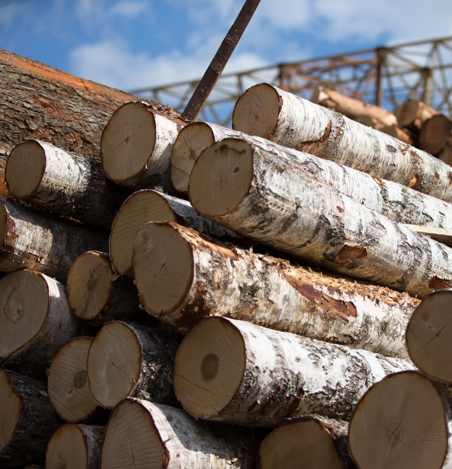 Indonesia Wood Manufacturer Rangka-6